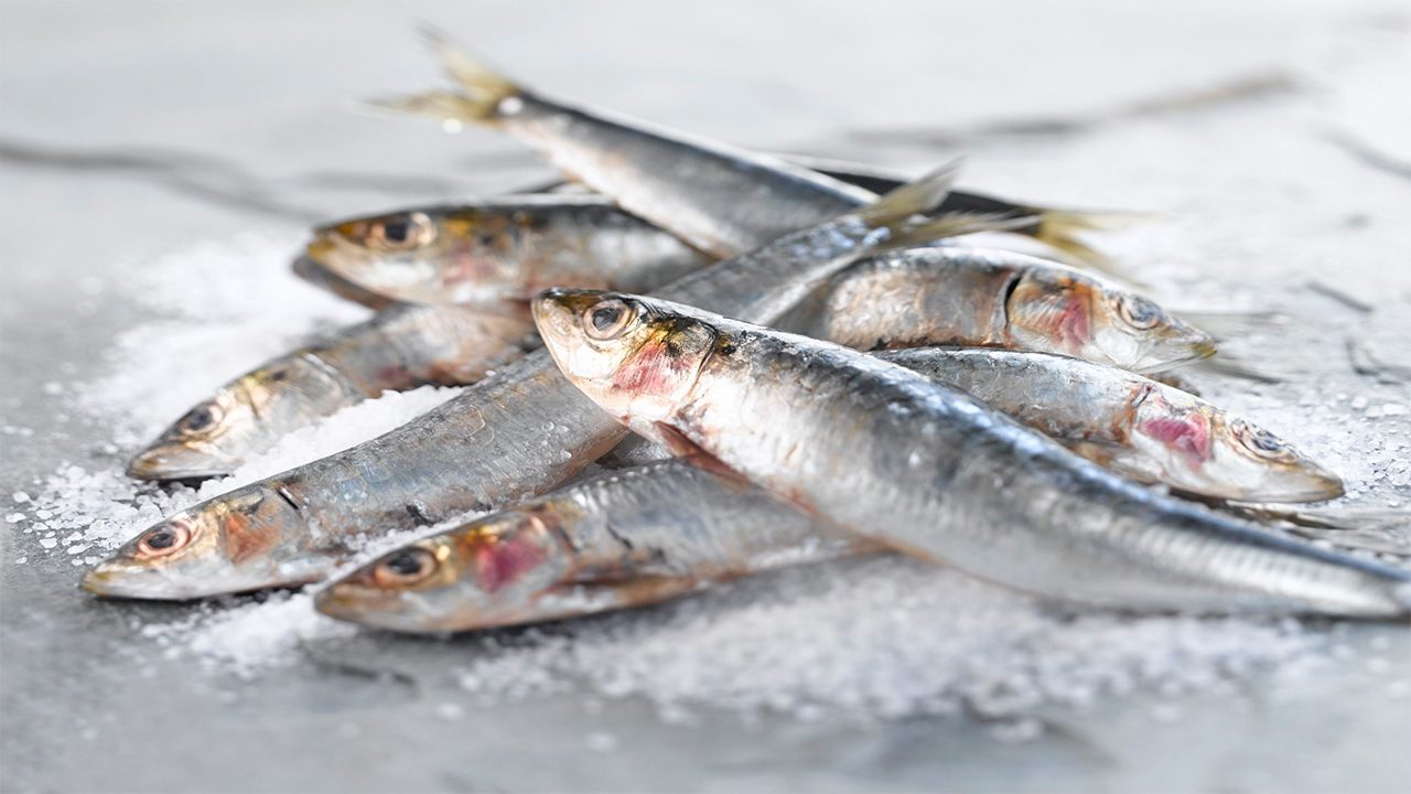 histamin-1280x720.jpg