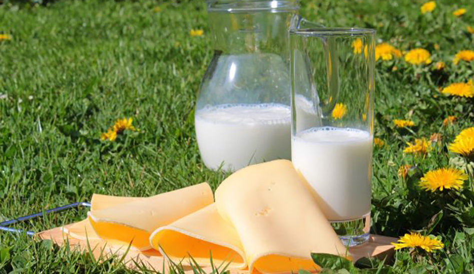 milk-1385548_1920-640x427-1.jpg
