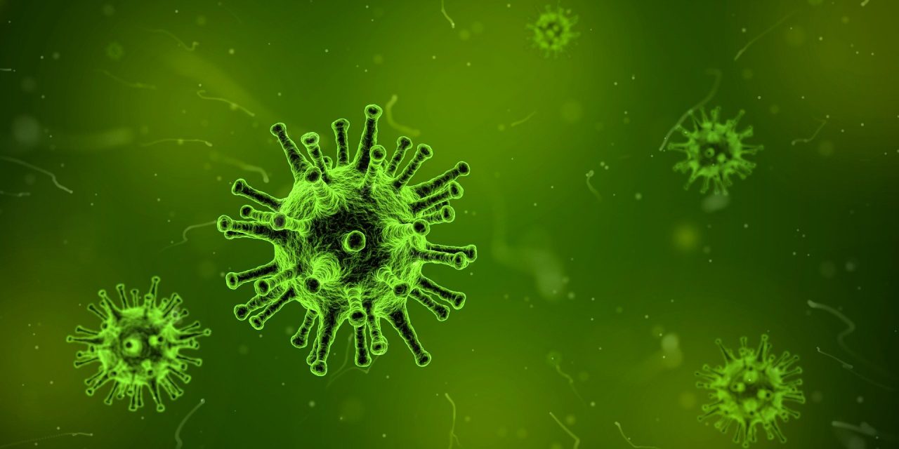 virus-1812092_1920-1280x640.jpg