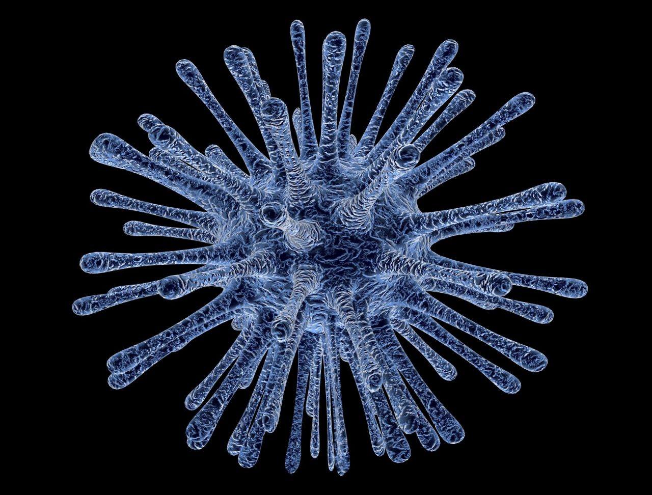 virus-213708-1280x972.jpg