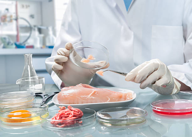 istockphoto-536831803-612x612-1.jpg